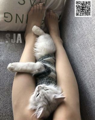 美丽的水蜜桃电影