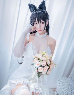 淑女的欲望在线观看