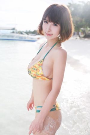 柳舟记 电视剧免费观看全集高清