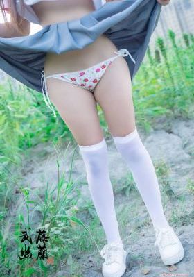 希德尼娅的骑士第二季