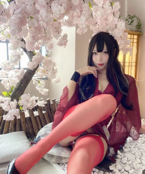 扫黑风暴40集免费播放